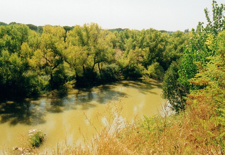 Image: Eutrophic lake